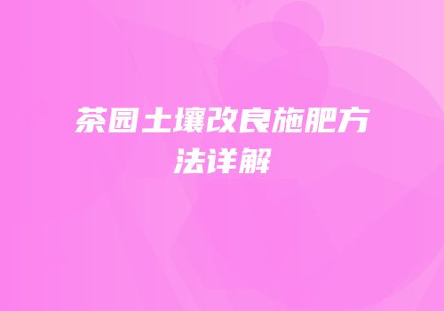 茶园土壤改良施肥方法详解
