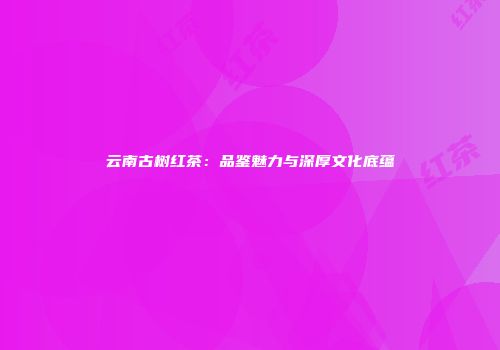 云南古树红茶：品鉴魅力与深厚文化底蕴