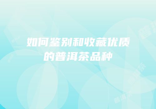 如何鉴别和收藏优质的普洱茶品种