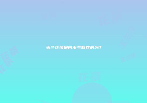 玉兰花茶是白玉兰制作的吗？