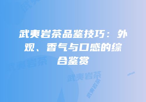 武夷岩茶品鉴技巧：外观、香气与口感的综合鉴赏