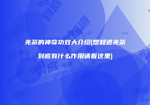 羌茶的神奇功效大介绍(想知道羌茶到底有什么作用请看这里)