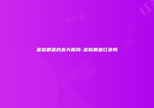 金骏眉适合春天喝吗-金骏眉是红茶吗