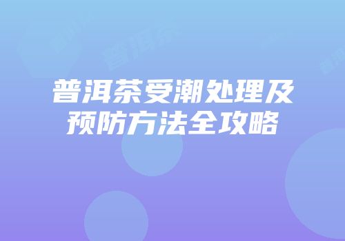普洱茶受潮处理及预防方法全攻略