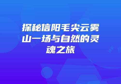 探秘信阳毛尖云雾山一场与自然的灵魂之旅