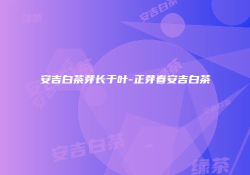 安吉白茶芽长于叶-正芽春安吉白茶