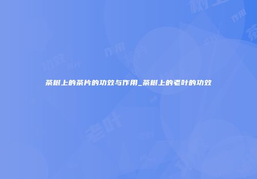 茶树上的茶片的功效与作用_茶树上的老叶的功效