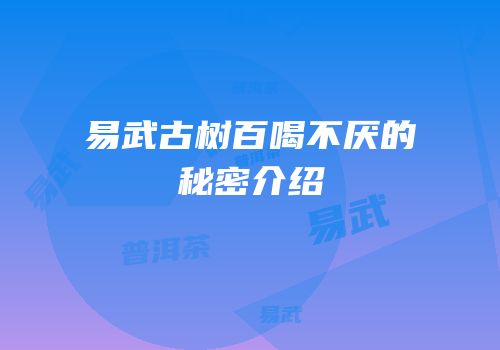 易武古树百喝不厌的秘密介绍