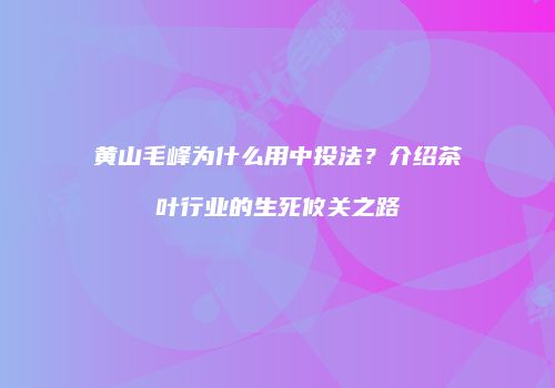 黄山毛峰为什么用中投法？介绍茶叶行业的生死攸关之路