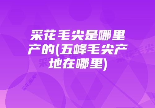 采花毛尖是哪里产的(五峰毛尖产地在哪里)