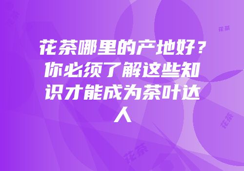 花茶哪里的产地好？你必须了解这些知识才能成为茶叶达人
