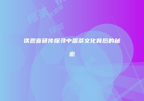 铁观音研传探寻中国茶文化背后的秘密