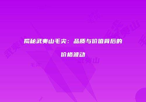 揭秘武夷山毛尖：品质与价值背后的价格波动