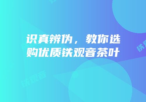 识真辨伪，教你选购优质铁观音茶叶