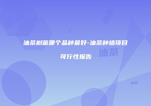油茶树苗哪个品种最好-油茶种植项目可行性报告