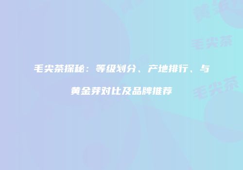 毛尖茶探秘：等级划分、产地排行、与黄金芽对比及品牌推荐