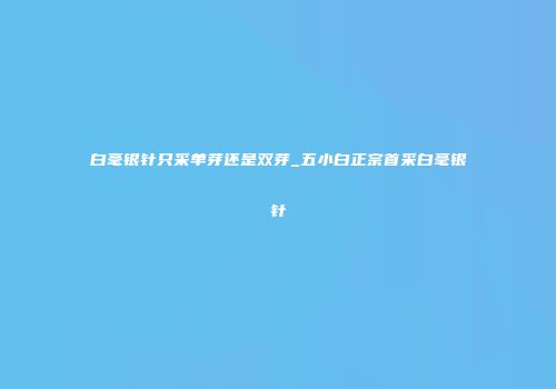 白毫银针只采单芽还是双芽_五小白正宗首采白毫银针
