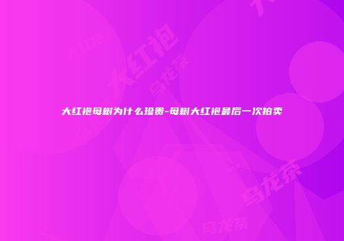 大红袍母树为什么珍贵-母树大红袍最后一次拍卖