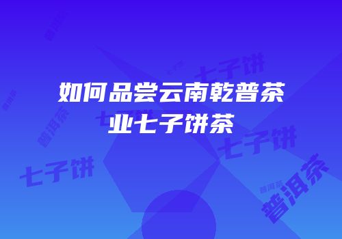 如何品尝云南乾普茶业七子饼茶