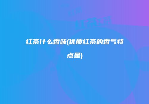 红茶什么香味(优质红茶的香气特点是)