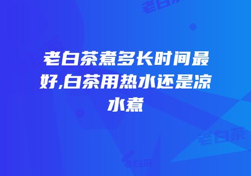 老白茶煮多长时间最好,白茶用热水还是凉水煮