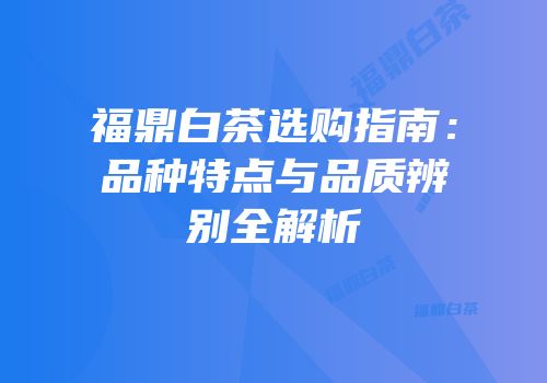 福鼎白茶选购指南：品种特点与品质辨别全解析
