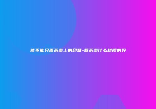 能不能只盖茶壶上的印章-煮茶壶什么材质的好