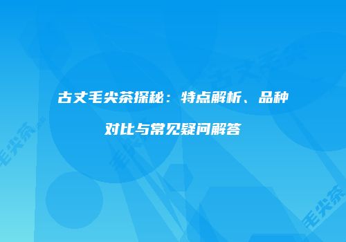 古丈毛尖茶探秘：特点解析、品种对比与常见疑问解答