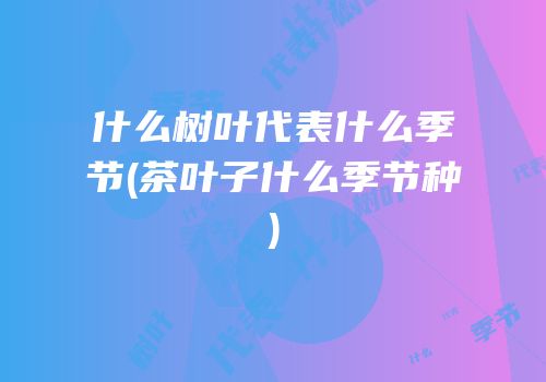 什么树叶代表什么季节(茶叶子什么季节种)