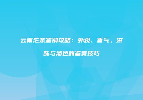 云南沱茶鉴别攻略：外观、香气、滋味与汤色的鉴赏技巧