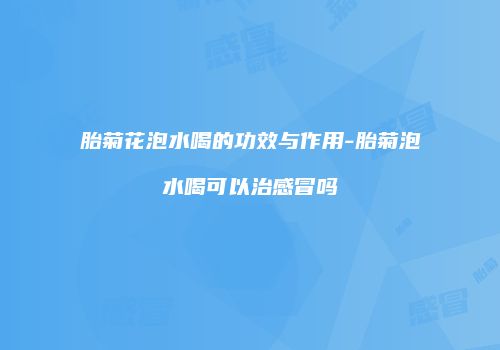 胎菊花泡水喝的功效与作用-胎菊泡水喝可以治感冒吗