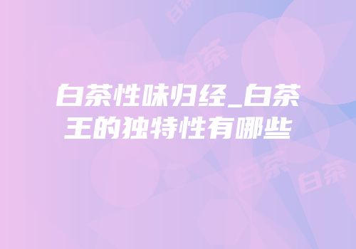 白茶性味归经_白茶王的独特性有哪些