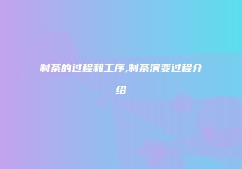 制茶的过程和工序,制茶演变过程介绍