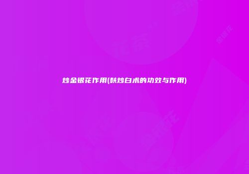 炒金银花作用(麸炒白术的功效与作用)