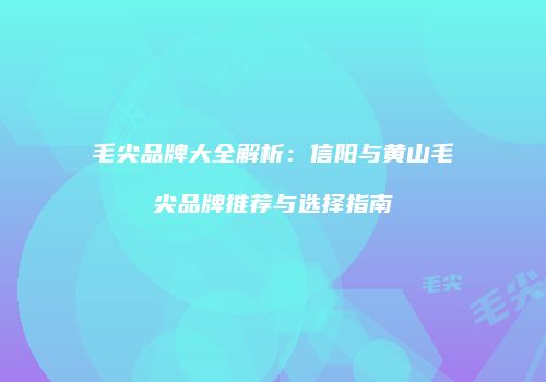 毛尖品牌大全解析：信阳与黄山毛尖品牌推荐与选择指南