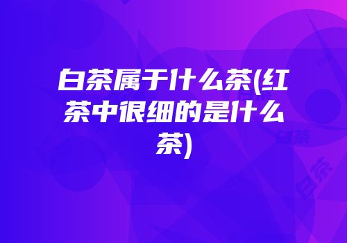 白茶属于什么茶(红茶中很细的是什么茶)