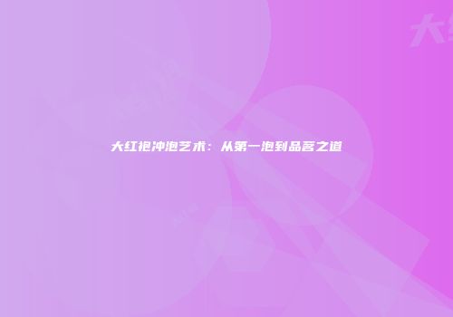 大红袍冲泡艺术：从第一泡到品茗之道