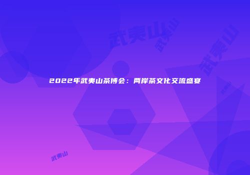 2022年武夷山茶博会：两岸茶文化交流盛宴