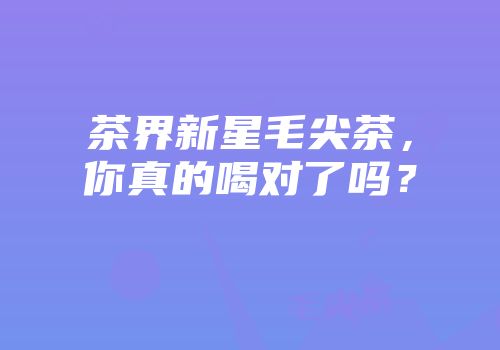 茶界新星毛尖茶，你真的喝对了吗？