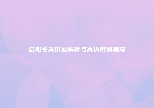 信阳毛尖价位解析与真伪辨别指南