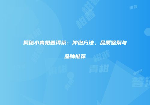 揭秘小青柑普洱茶：冲泡方法、品质鉴别与品牌推荐