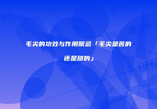 毛尖的功效与作用禁忌「毛尖是苦的还是甜的」