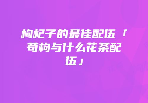 枸杞子的最佳配伍「苟枸与什么花茶配伍」
