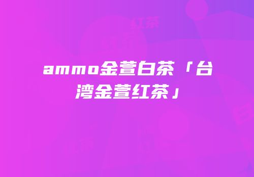ammo金萱白茶「台湾金萱红茶」