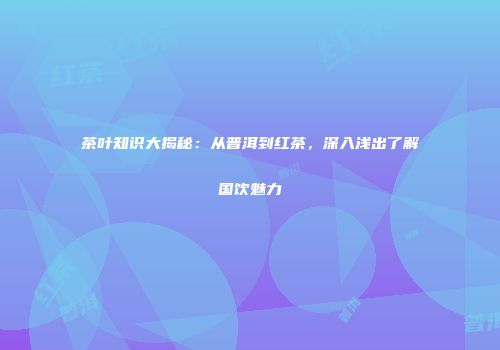 茶叶知识大揭秘：从普洱到红茶，深入浅出了解国饮魅力