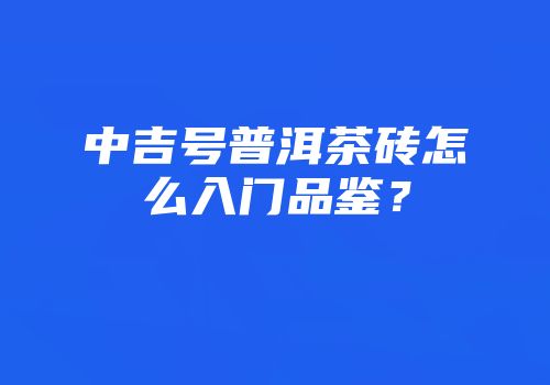 中吉号普洱茶砖怎么入门品鉴？