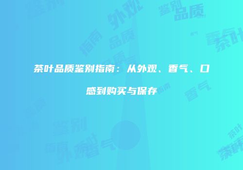 茶叶品质鉴别指南：从外观、香气、口感到购买与保存