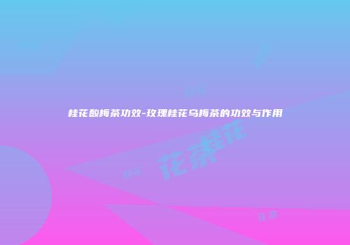 桂花酸梅茶功效-玫瑰桂花乌梅茶的功效与作用