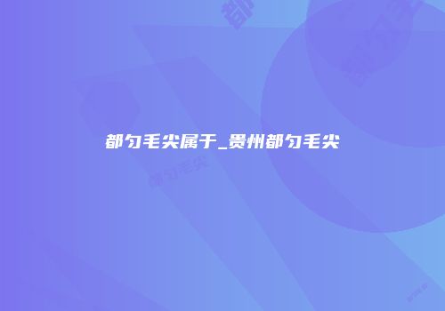 都匀毛尖属于_贵州都匀毛尖