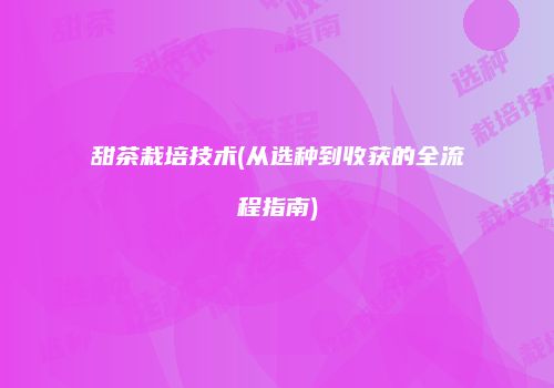 甜茶栽培技术(从选种到收获的全流程指南)